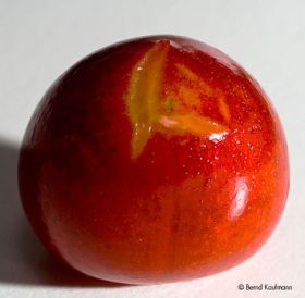 Umkehrosmose_Kirsche_2.jpg